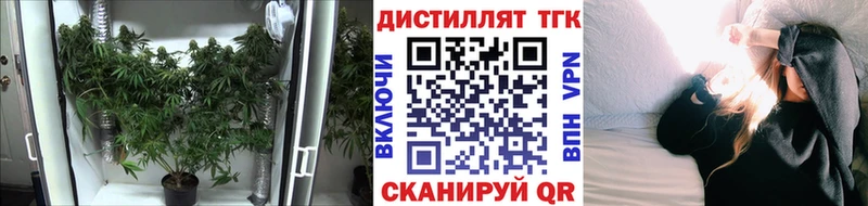 Дистиллят ТГК Wax  Купить где  Мегион 